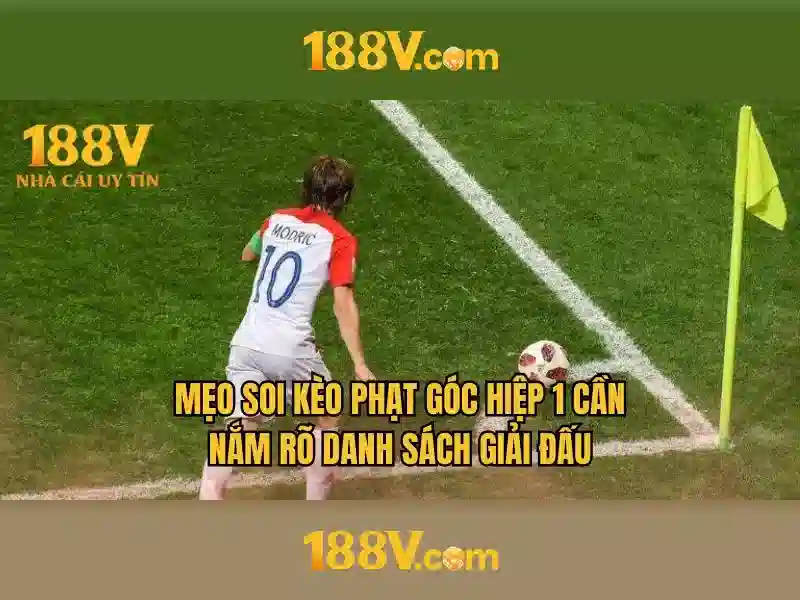 Ảnh hưởng văn hóa và ứng dụng