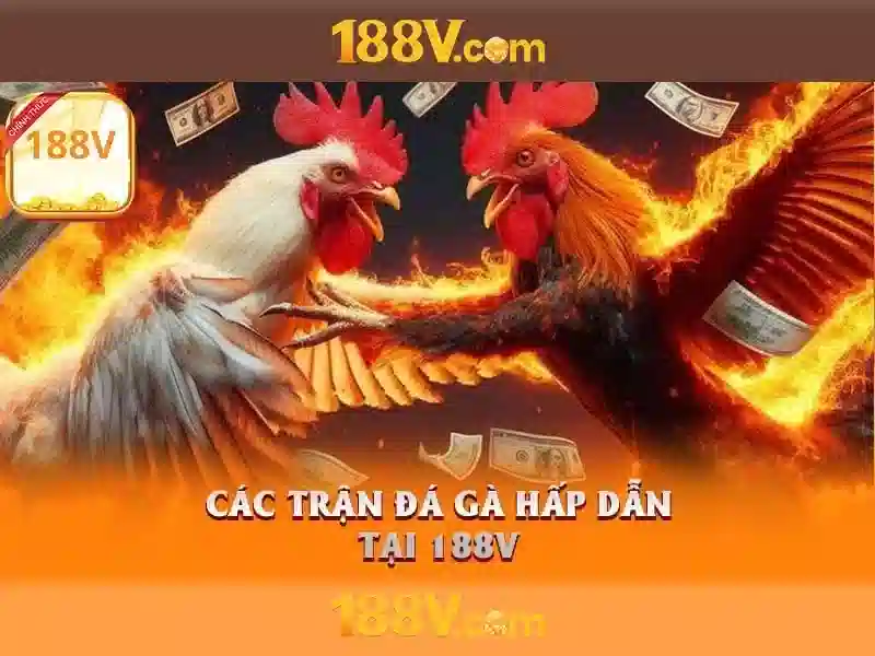 Nội dung công nghệ
