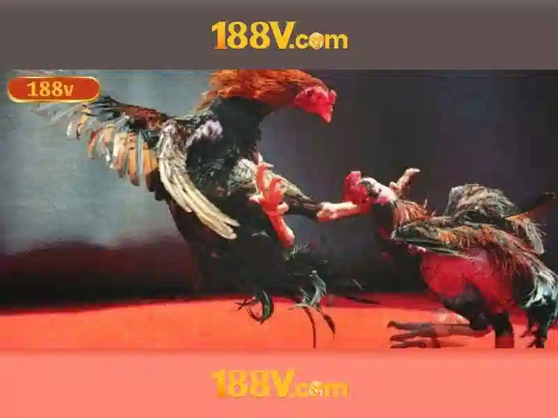 Ảnh hưởng và ứng dụng