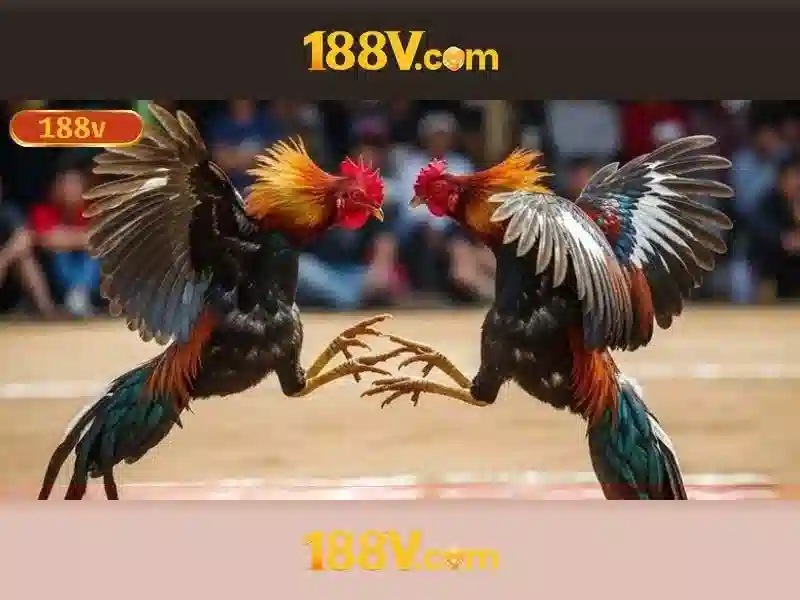 Khám phá 188v: một khía cạnh của công nghệ và điện áp