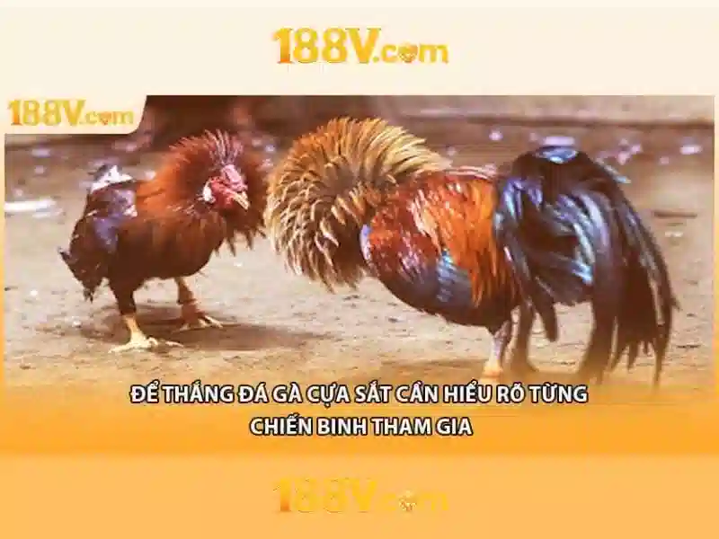 Nguồn gốc và ý nghĩa số 188V