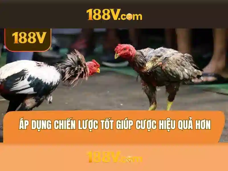 Minh bạch nguồn dữ liệu và liên hệ hỗ trợ