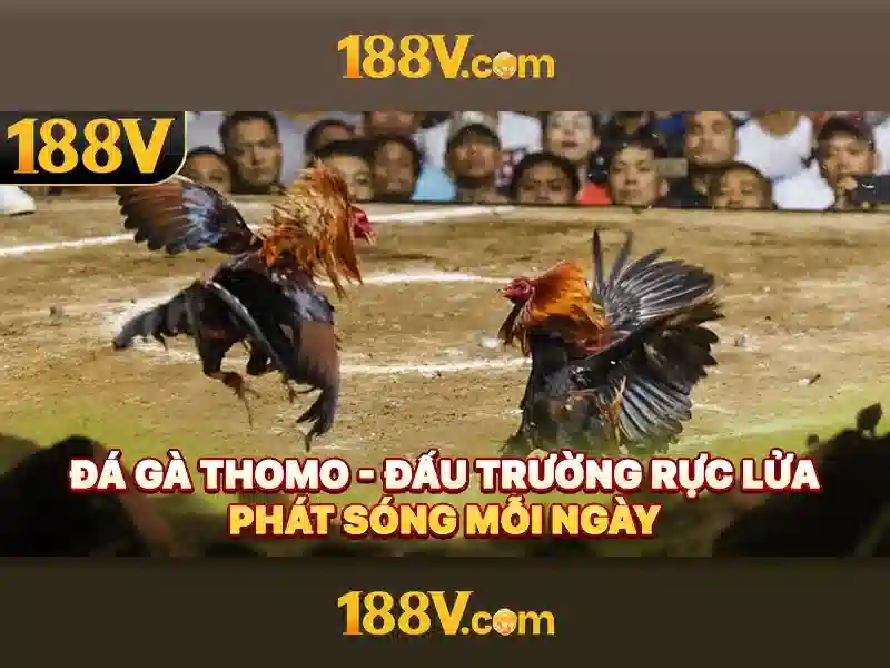 Nguồn gốc của 188v trong văn hóa số