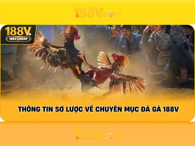 Bảng so sánh RTP và bảo mật các nền tảng cạnh tranh
