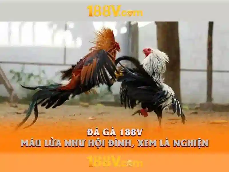 Khám phá 188v: một khái niệm và hành trình số