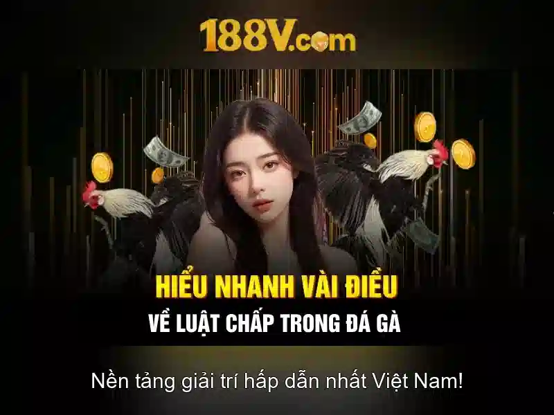 Những câu hỏi mở