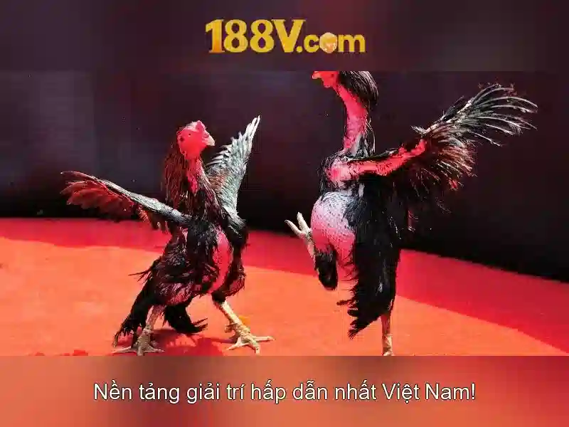 Khám phá 188v