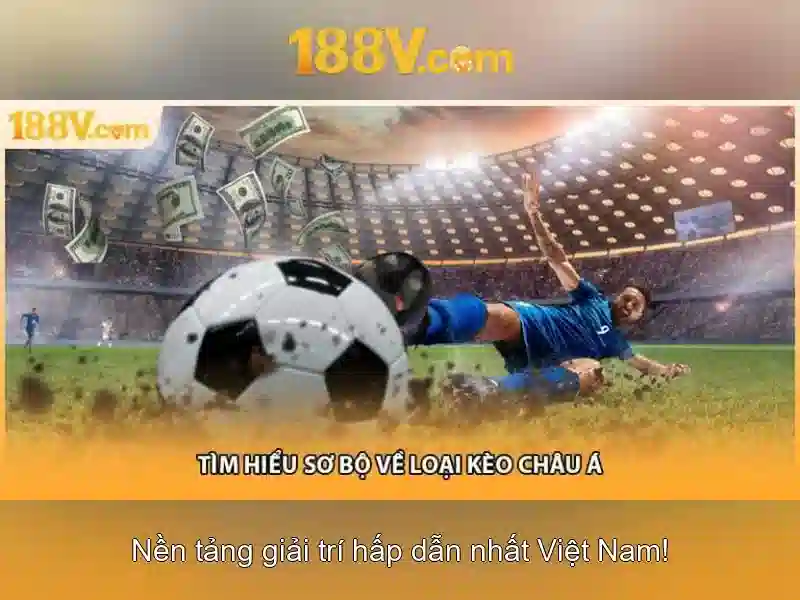 Minh_hoa_mien_tru_trach_nhiem_cua_188v