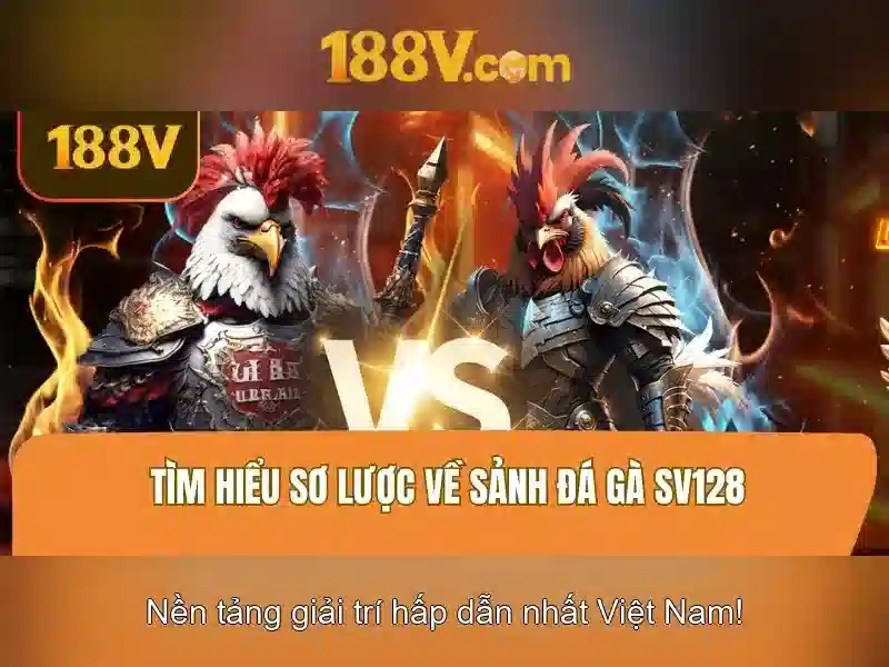 So sánh với các khái niệm liên quan