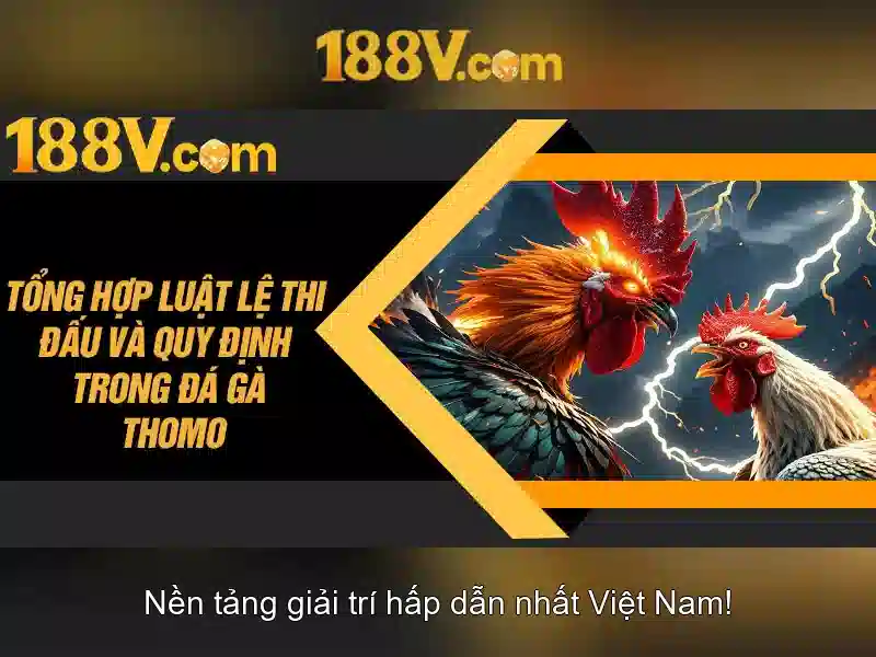 188v: Hành trình khám phá một khái niệm