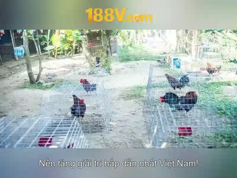 188v: khái niệm và nguồn gốc