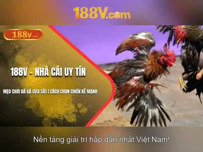 188v: Khái niệm và ảnh hưởng