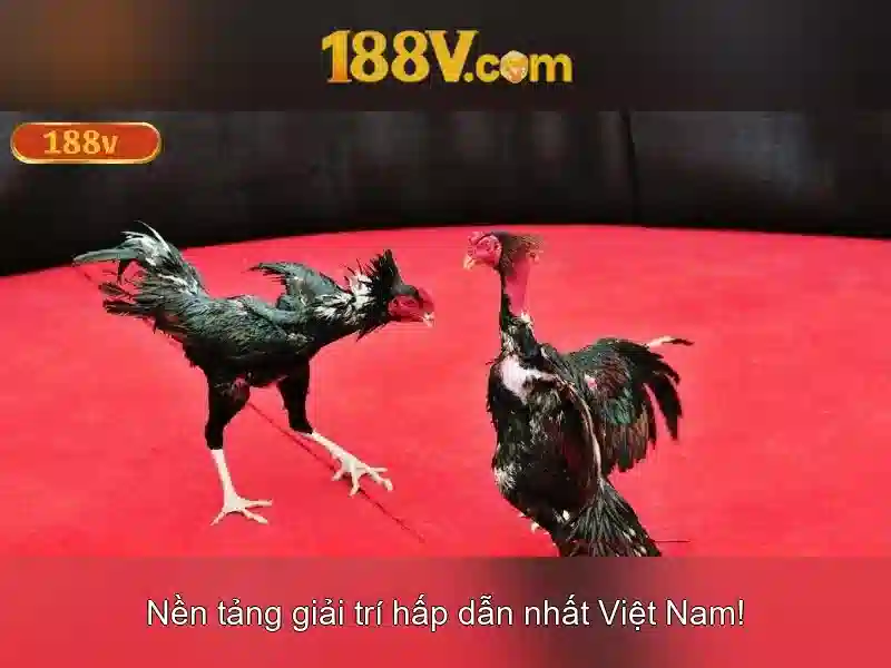 188V là gì