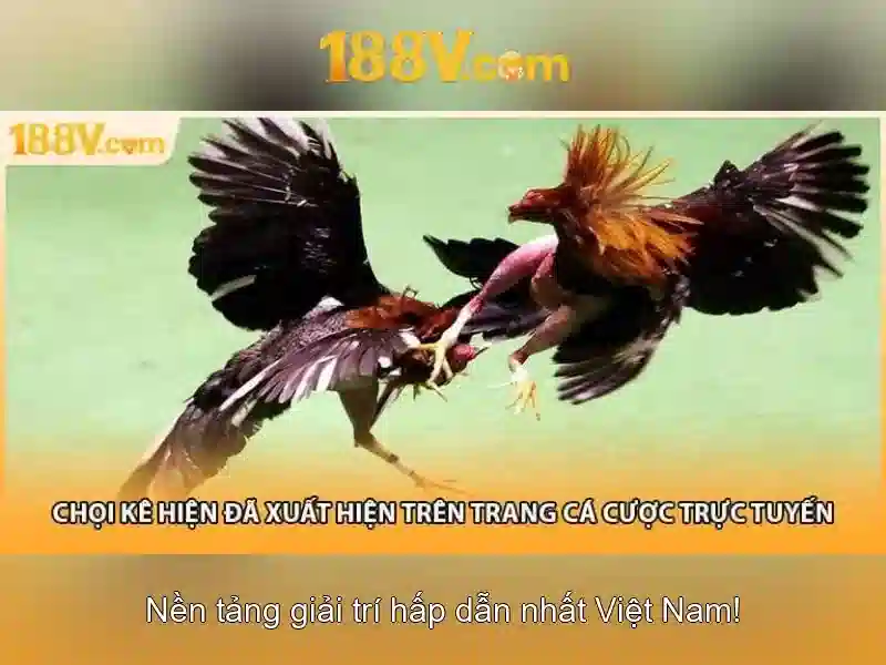 Khái niệm 188v