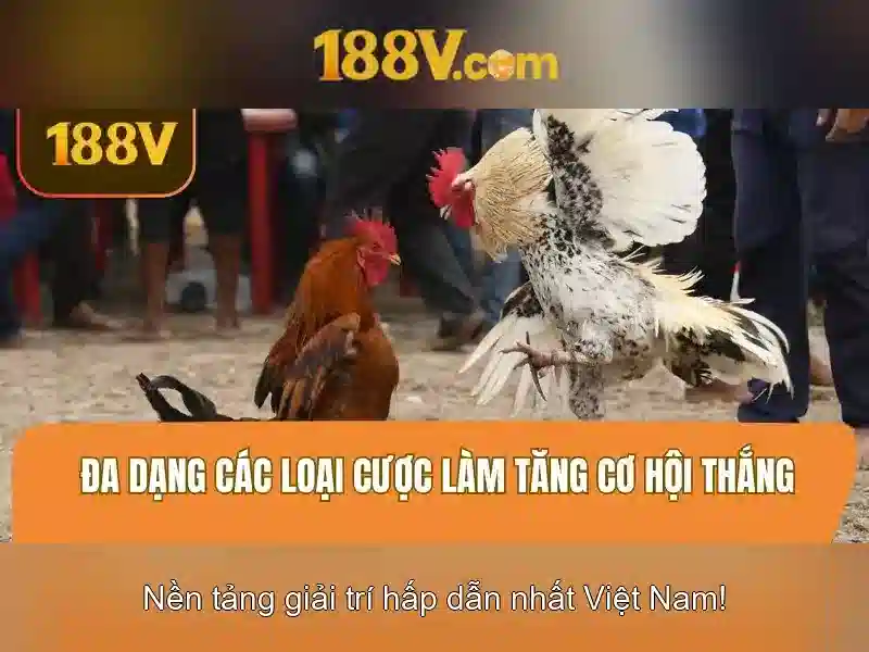 bao-mat